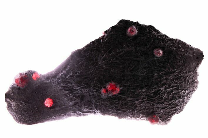 Plate of Seven Red Embers Garnets in Graphite - Massachusetts #375788